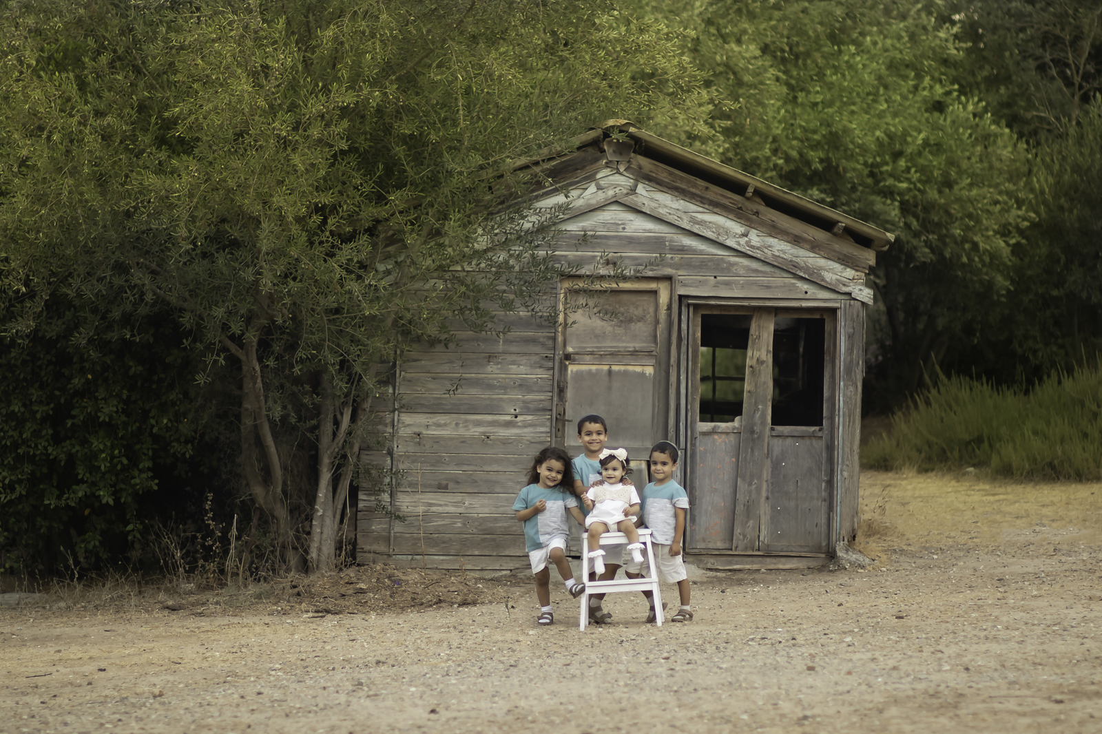 IMG_6896-Edit השתלה copy_1600x1066.jpg