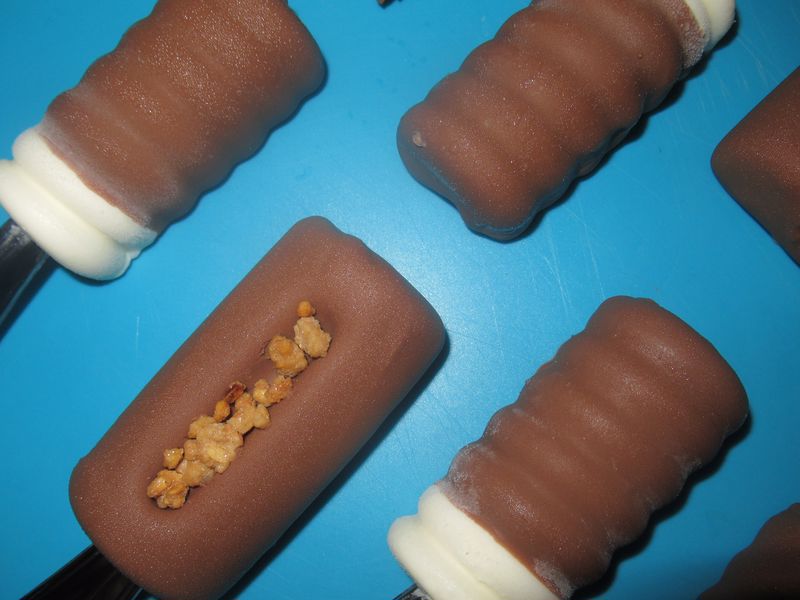 IMG_7020_800x600 (1).jpg