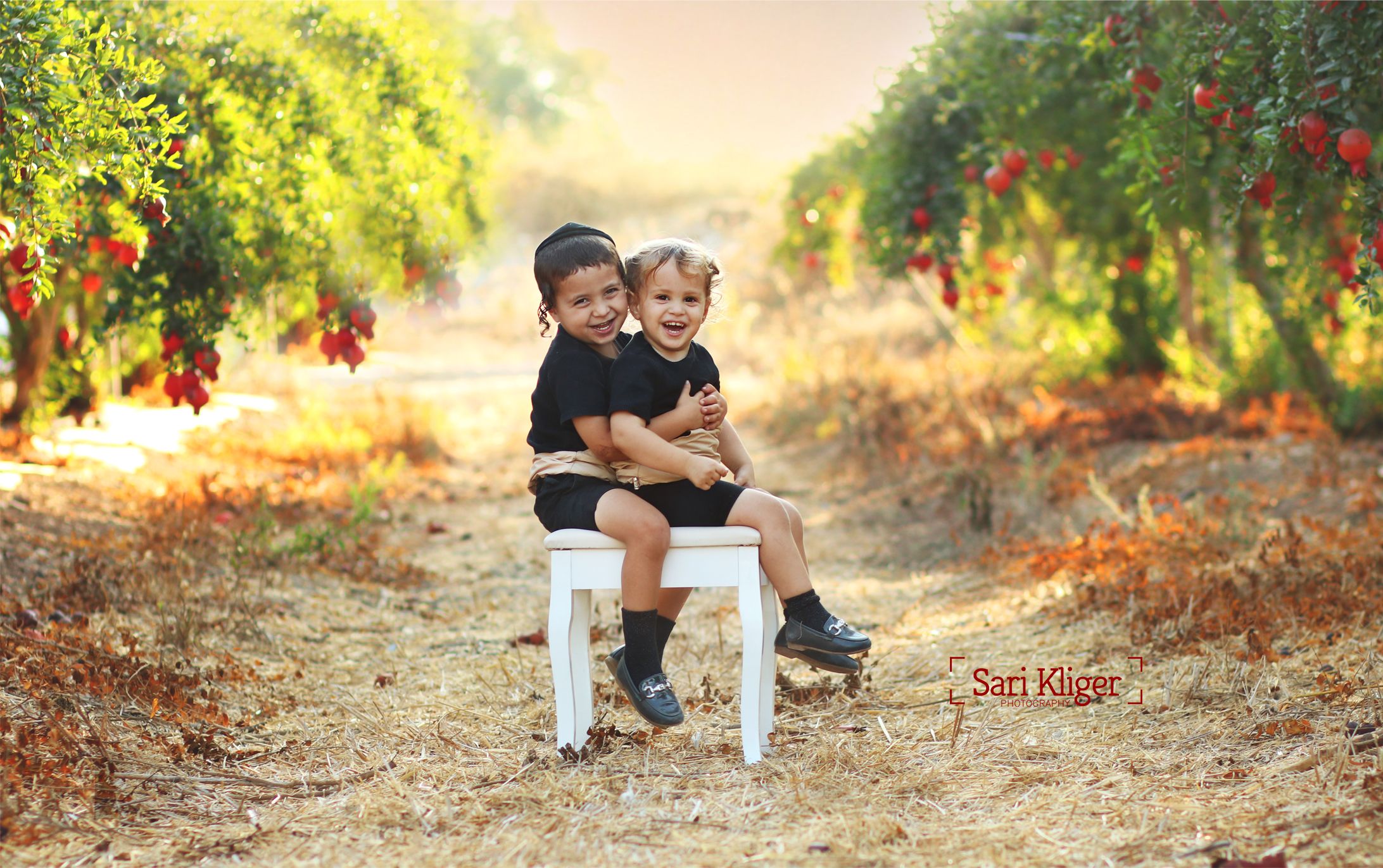 IMG_7083 מוקטן.jpg