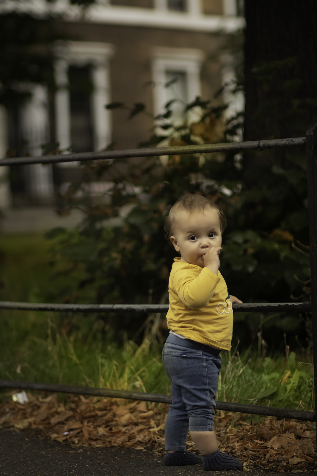 IMG_7088-Edit copy_1066x1600.jpg