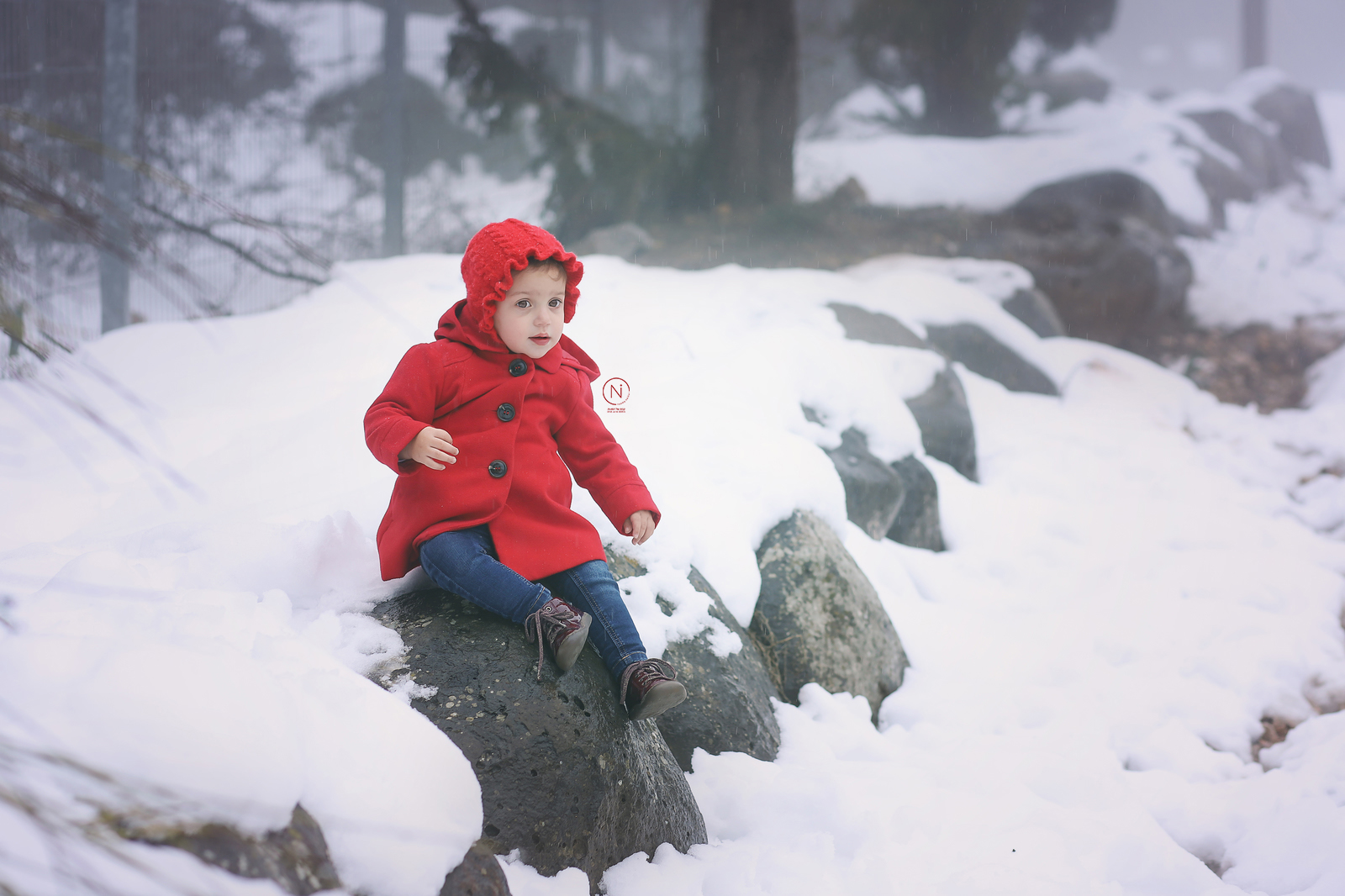 IMG_7118 copy_1600x1066.jpg