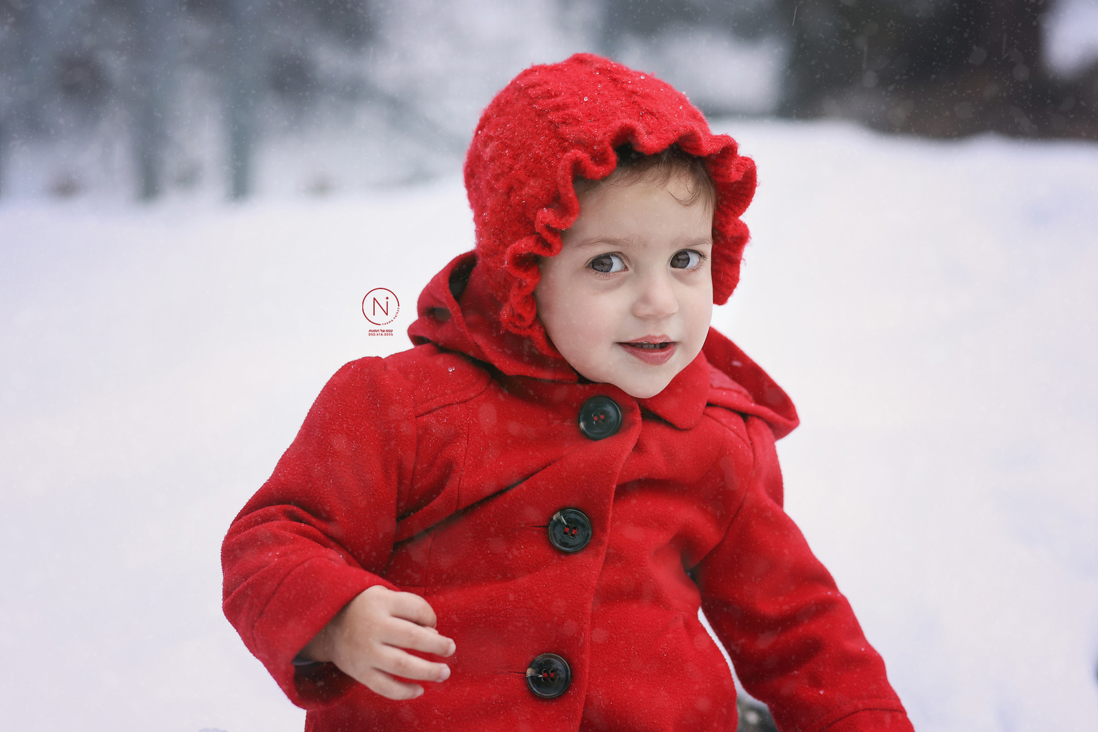 IMG_7125 copyשלג_1600x1066.jpg