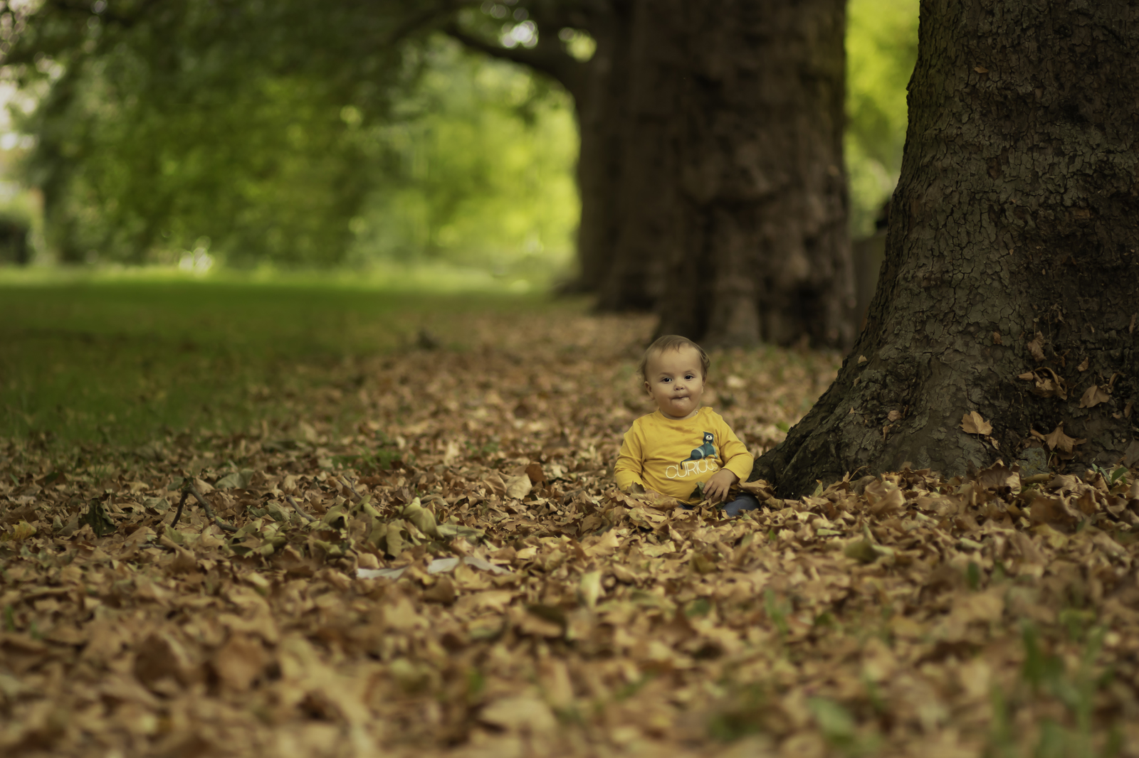 IMG_7126-Edit copy_1600x1066.jpg