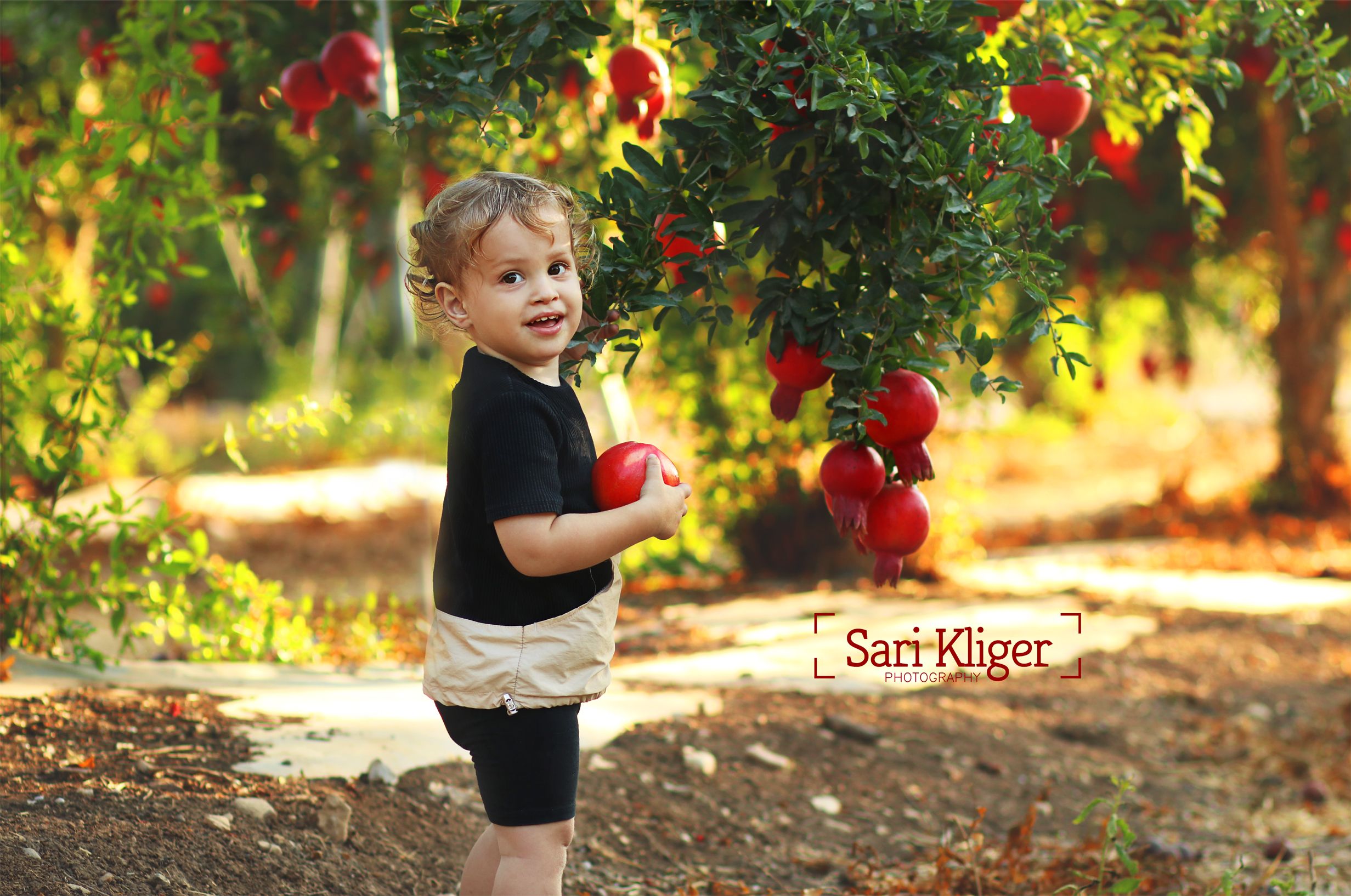 IMG_7135 מוקטן.jpg