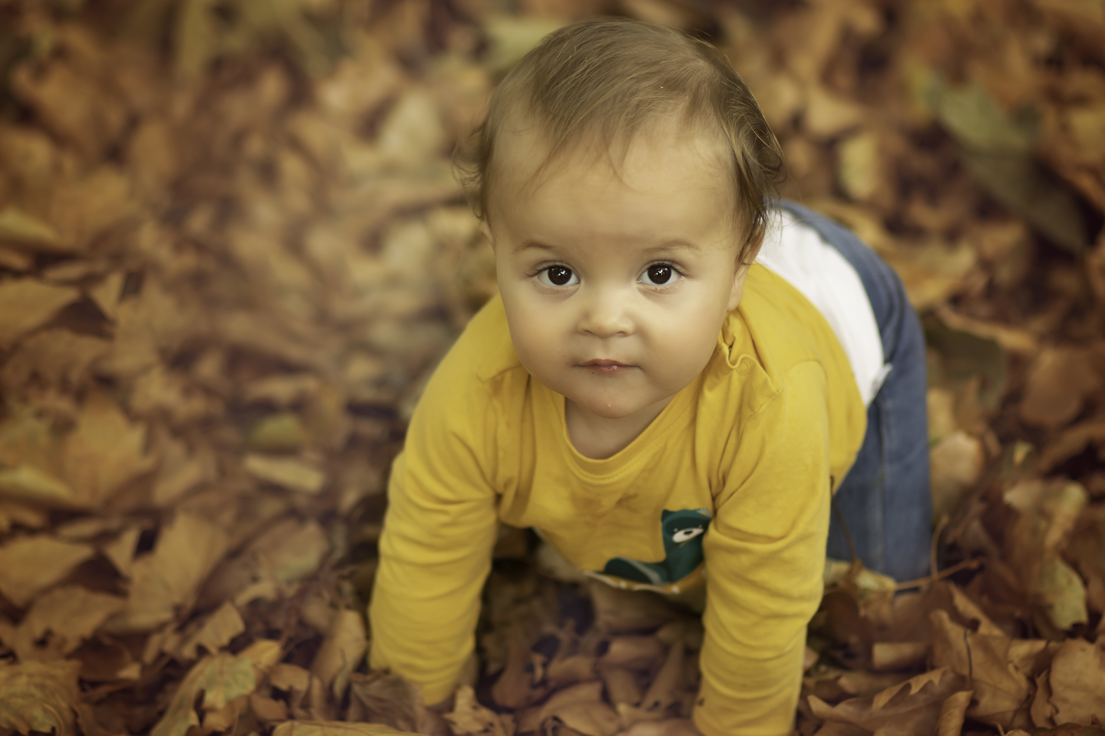 IMG_7138-Edit copy_1600x1066.jpg