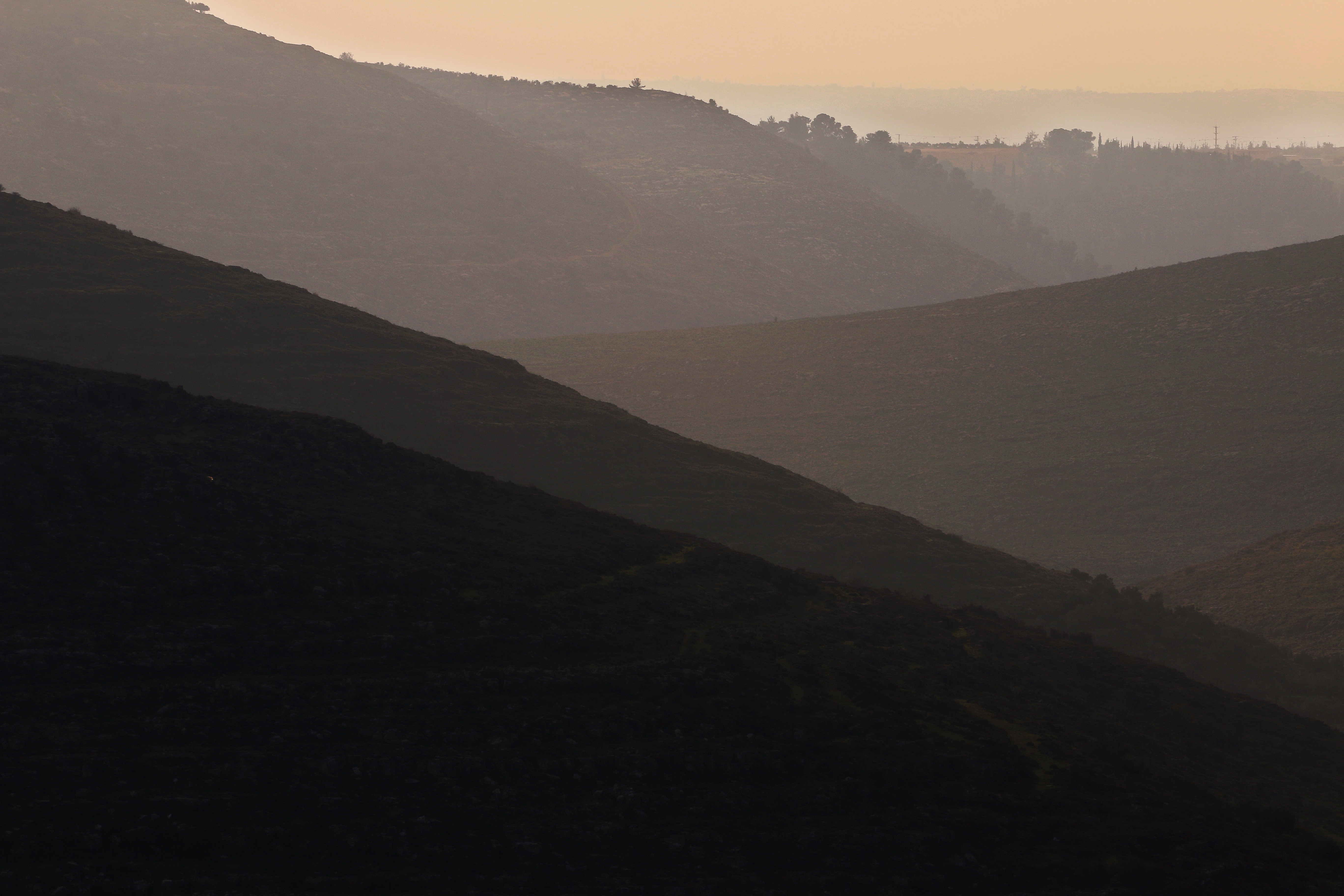 IMG_7170-1 copy+.jpg