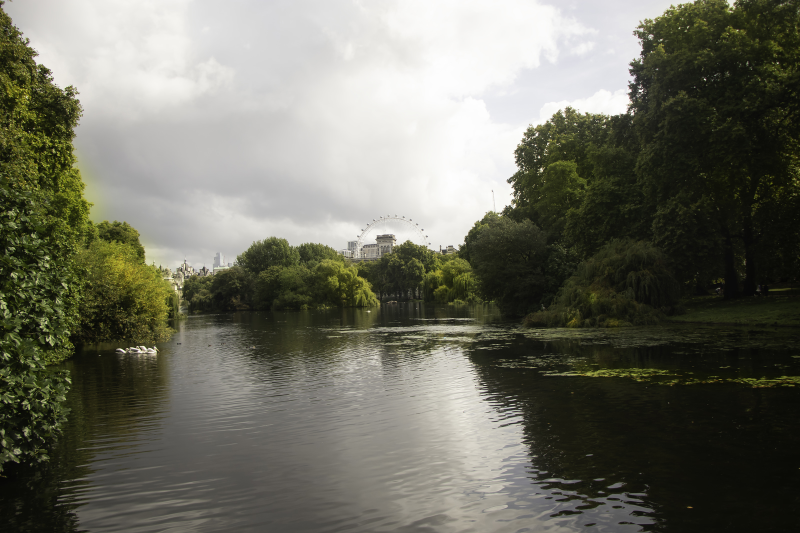 IMG_7246-Edit copy_1600x1066.jpg