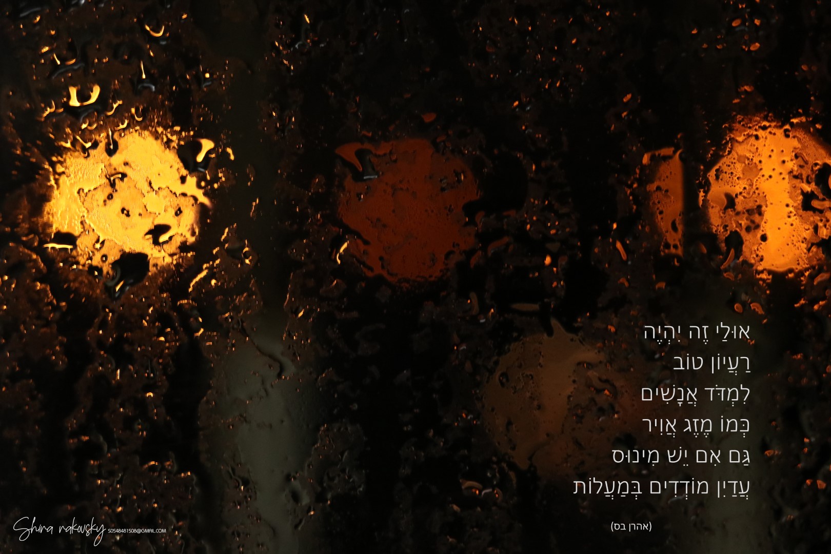 IMG_7372 העתק (Large).jpg