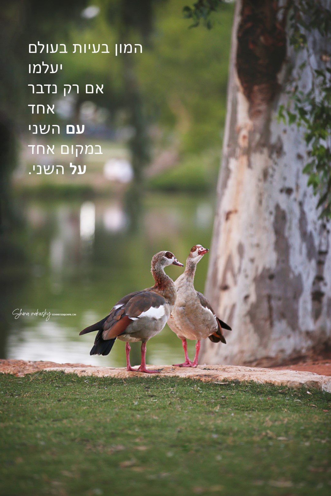 IMG_7459 copy (Large).jpg