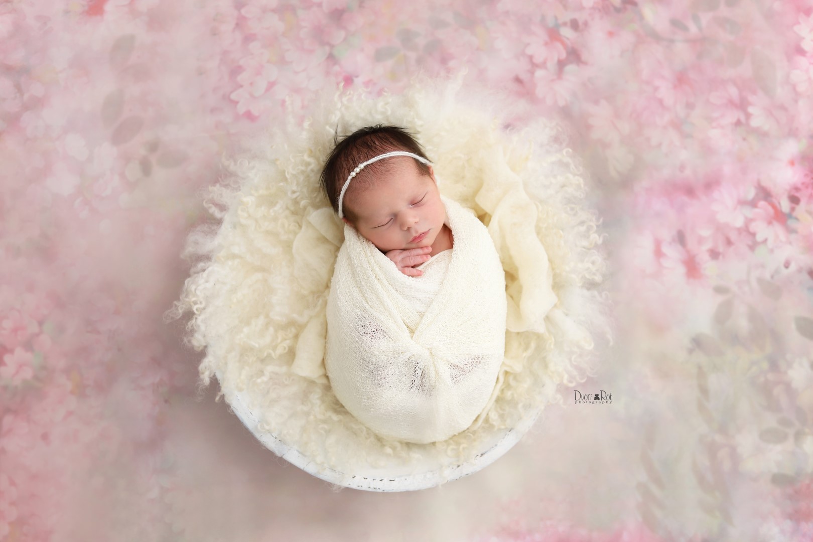 IMG_7746 02 copy (Large).jpg