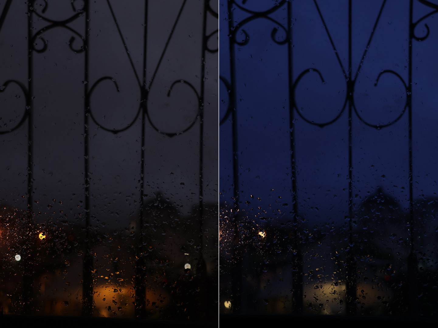 IMG_7850 copy2 (Large).jpg