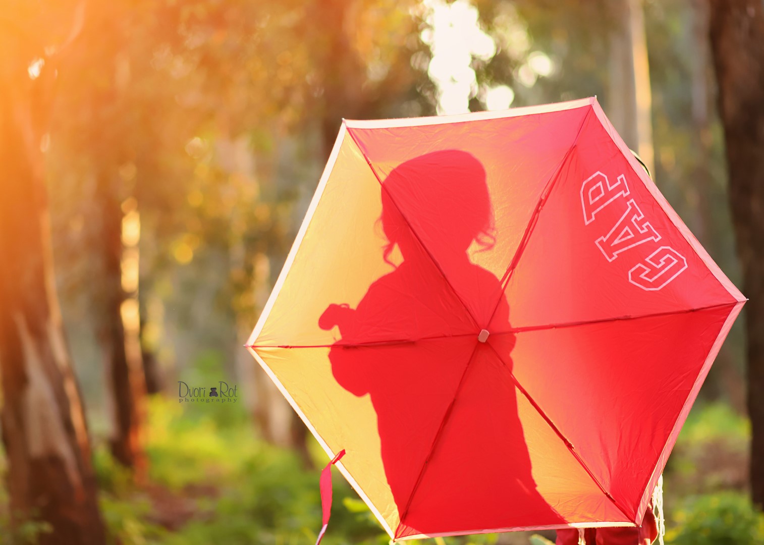 IMG_7958 copy (Large).jpg