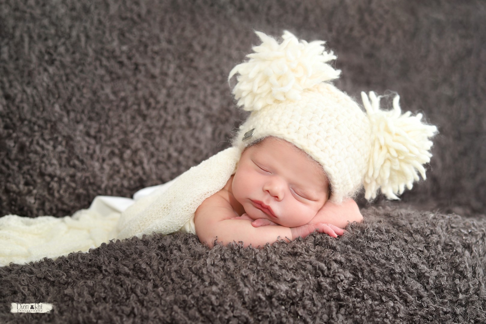 IMG_7979 (Large).jpg