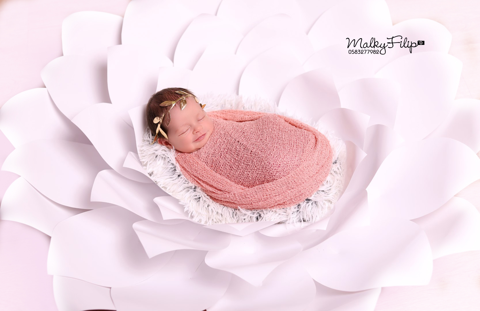 IMG_8019 (Large).jpg