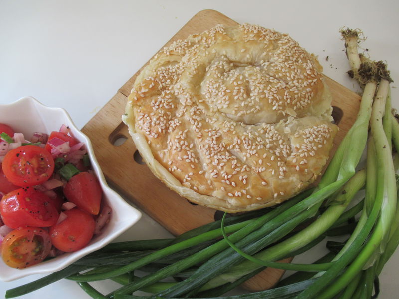 IMG_8030_800x600 - Copy.jpg