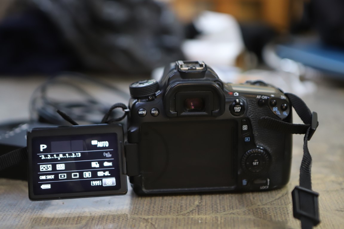 IMG_8155 (Medium).JPG