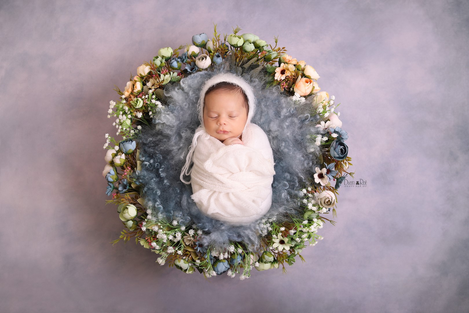 IMG_8231 (Large).jpg