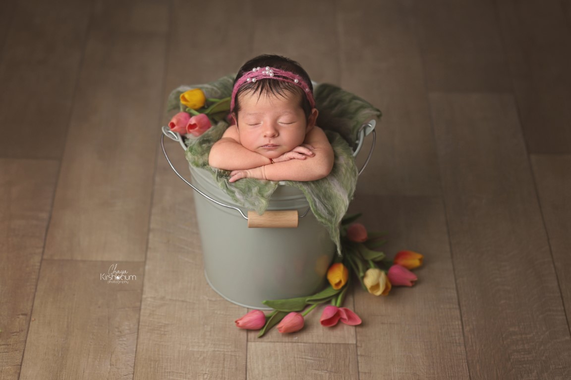 IMG_8324חAןI (בינוני).jpg