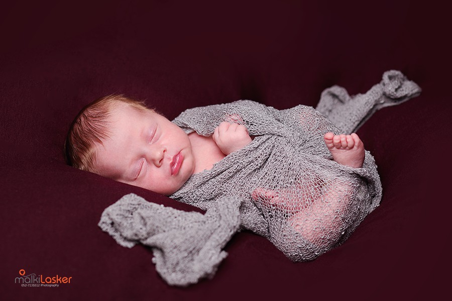 IMG_8359 ר נמוכה.jpg