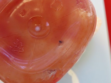 IMG_8391 (Mobile).JPG