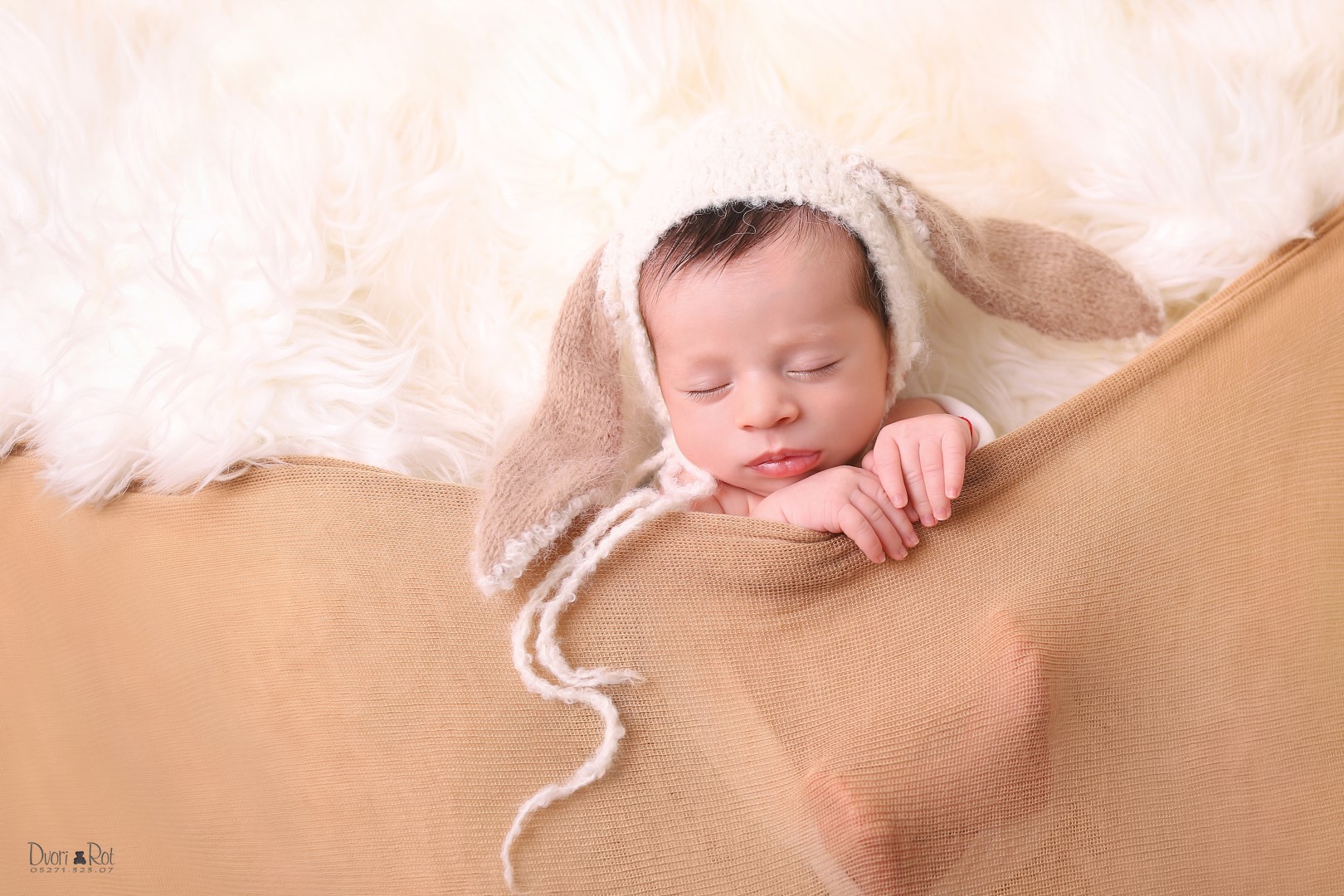 IMG_8490 (Large).jpg