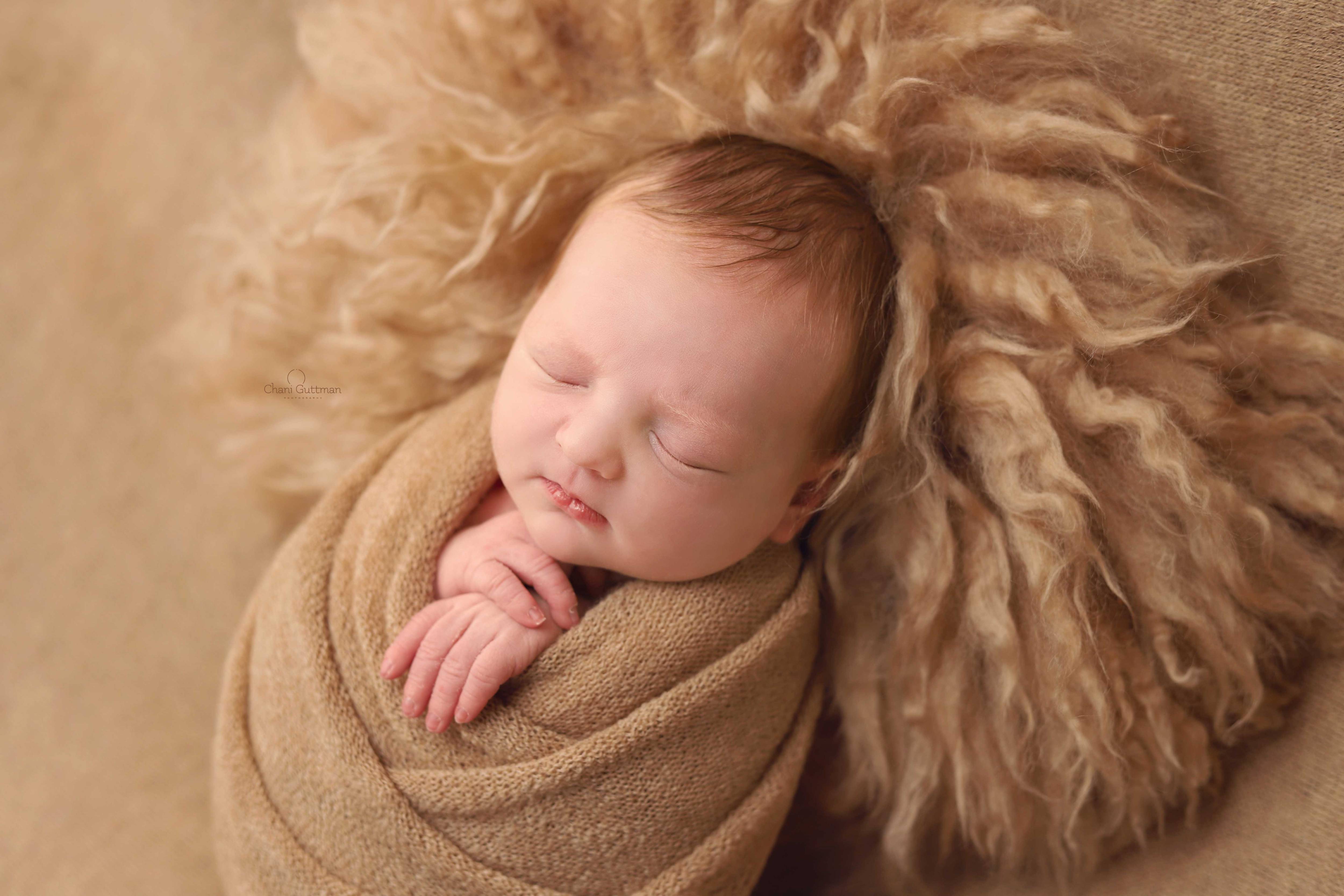 IMG_8584מעובד מוקטן.jpg