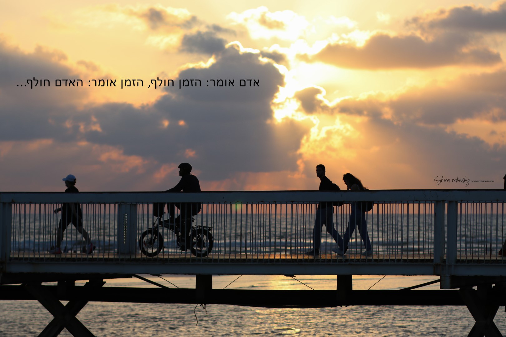 IMG_8622 copy (Large).jpg