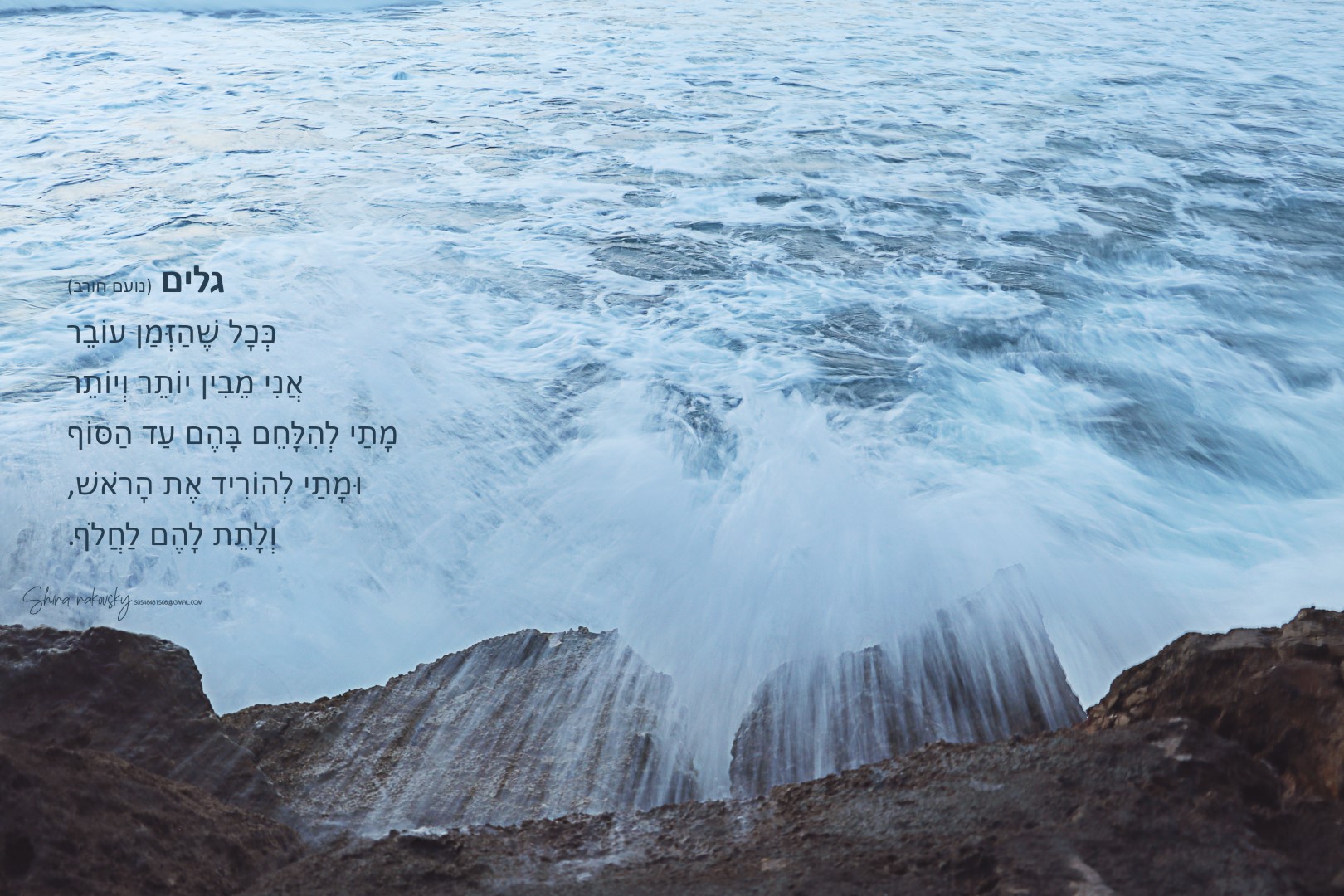 IMG_8678 העתק (Large).jpg