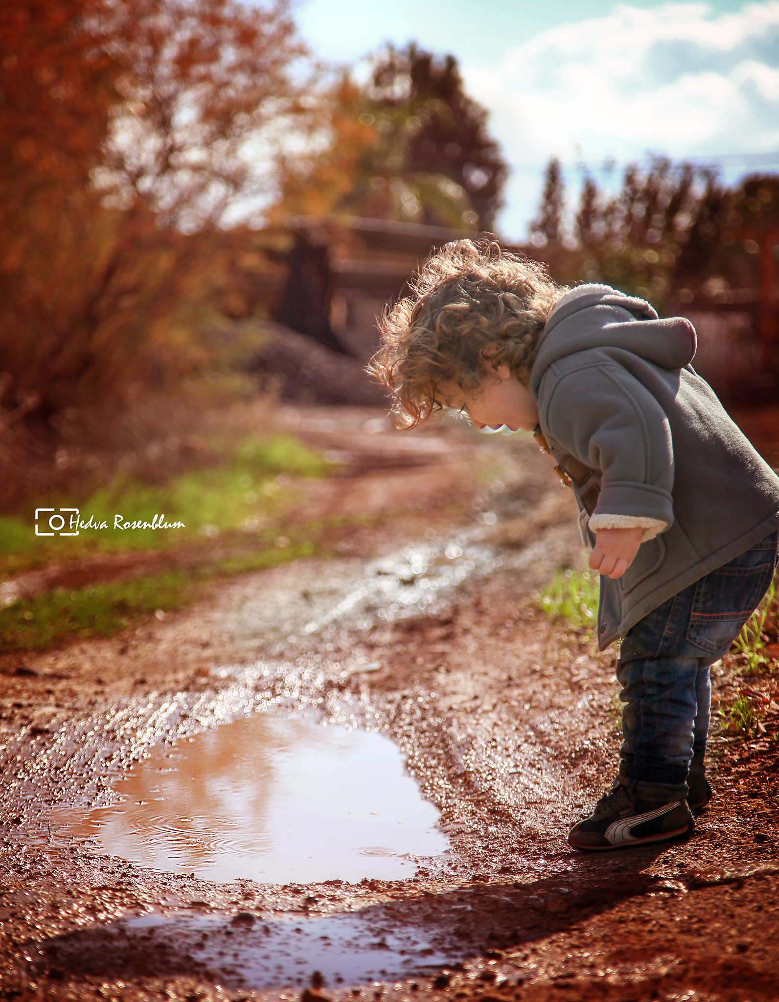 IMG_8702.jpg 2.jpg מוקטן.jpg