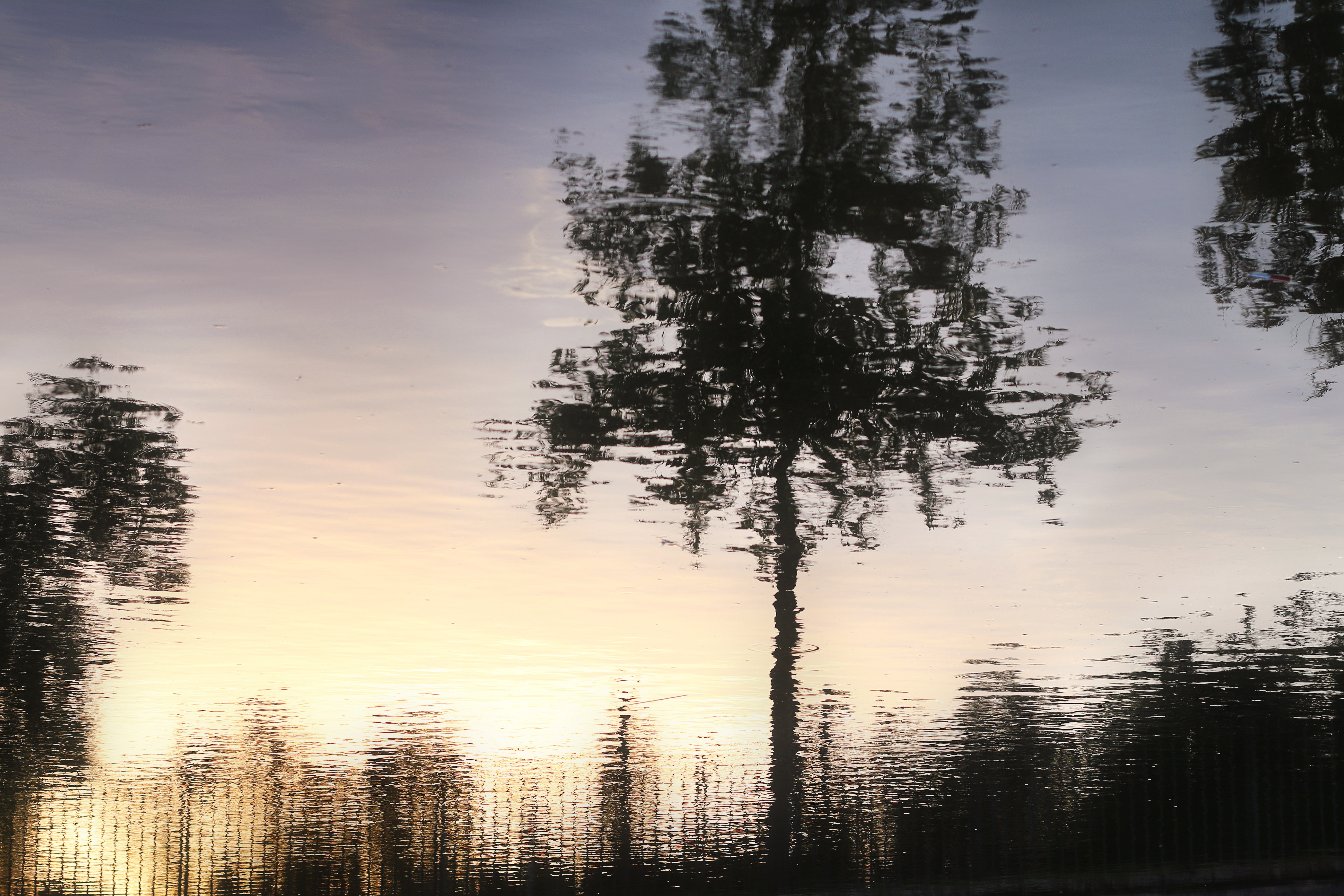 IMG_8807 copy+ copy.jpg