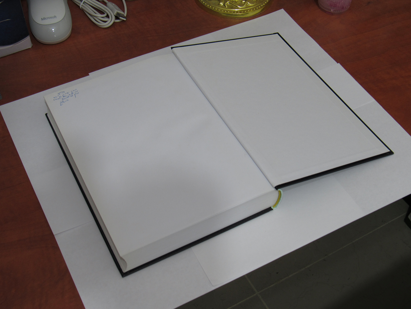 IMG_8912 meirrosh.jpg