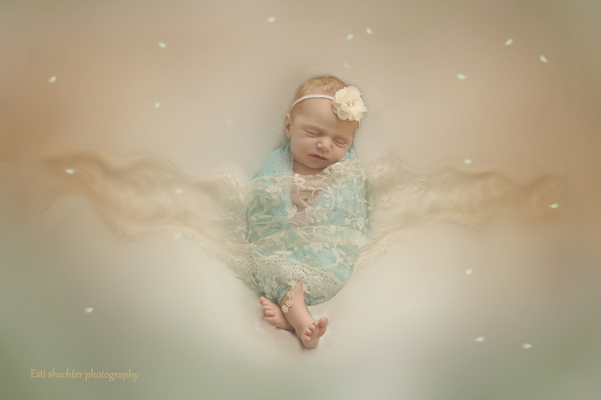 IMG_8923מעובד נצנצים מוקטן 2לוגו.jpg