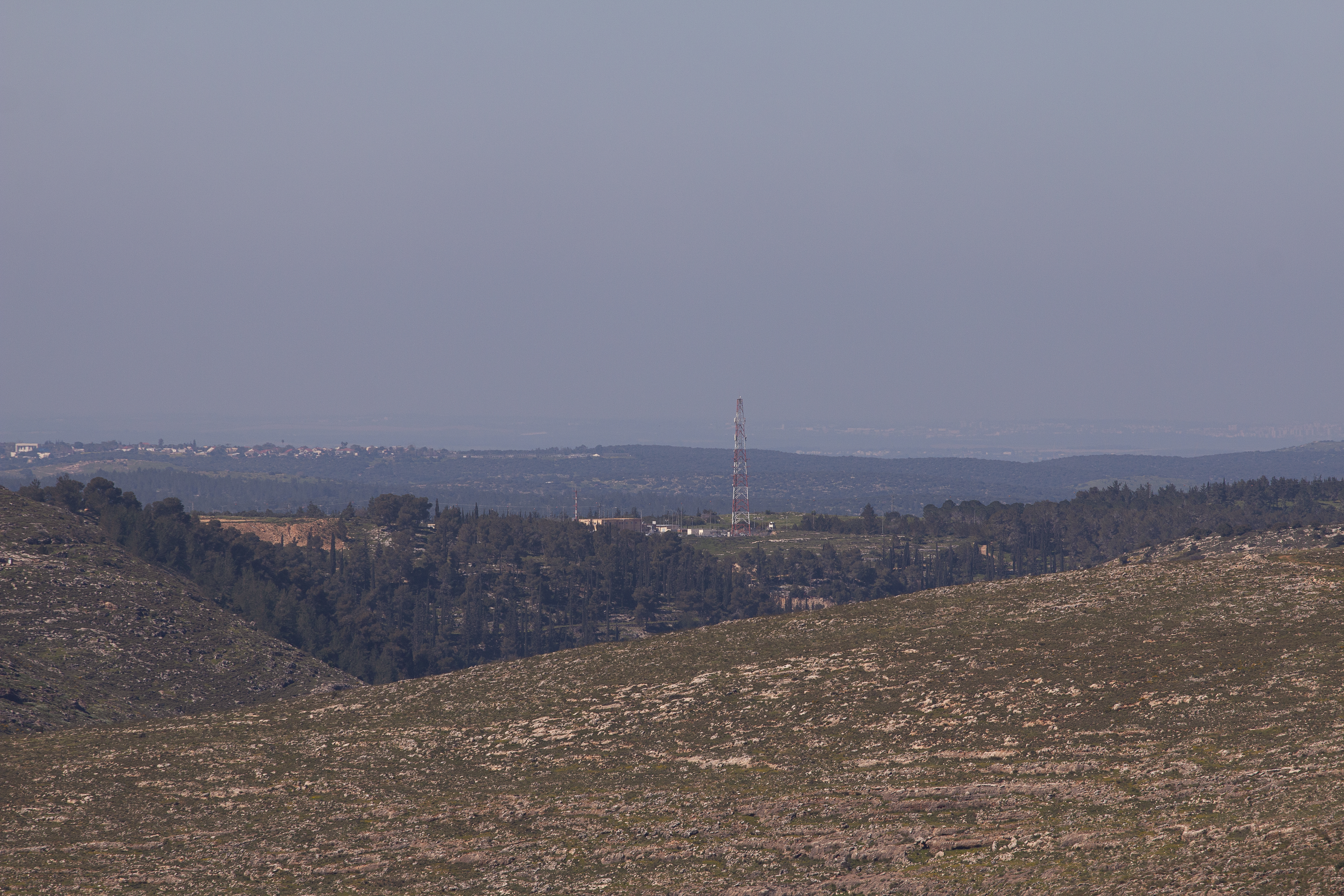 IMG_9063 copy 2+.jpg