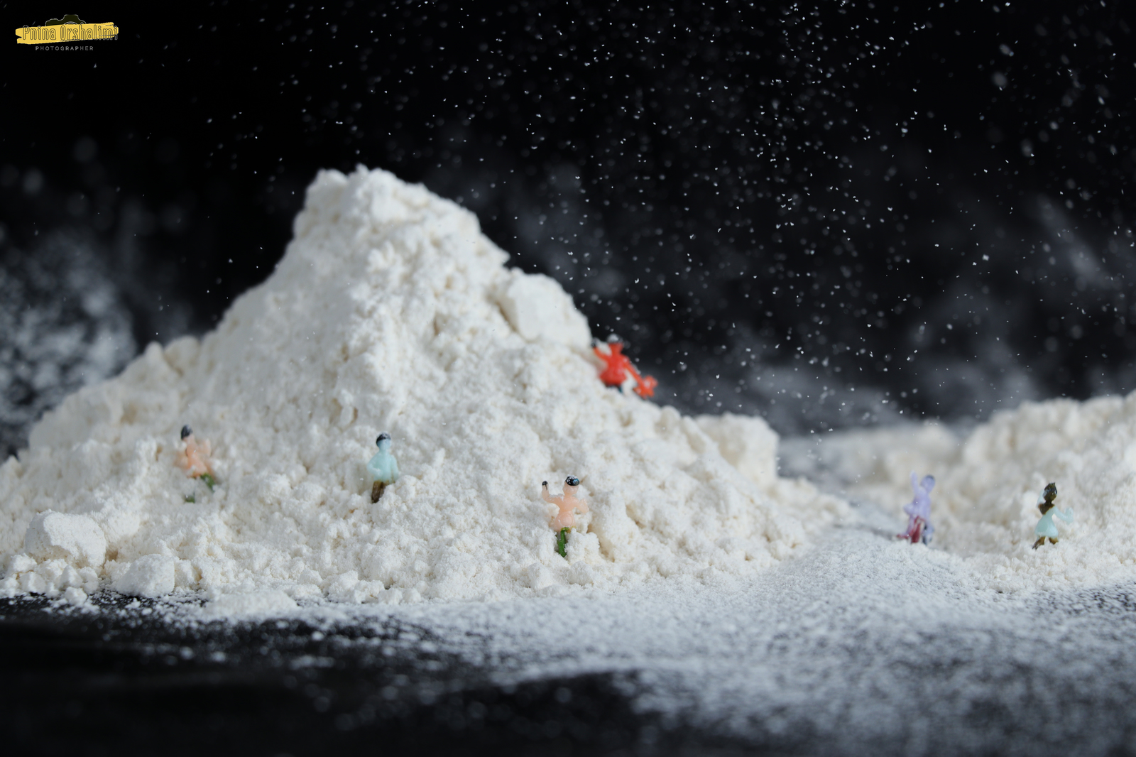 IMG_9103 לוגו_1600x1066.jpg