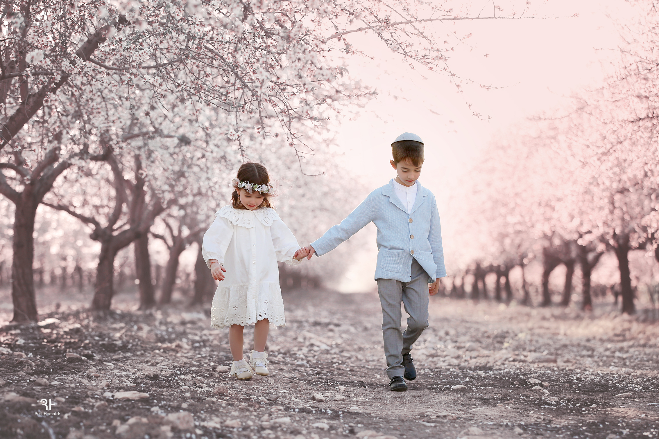 IMG_9173 copy 2 copy.jpg