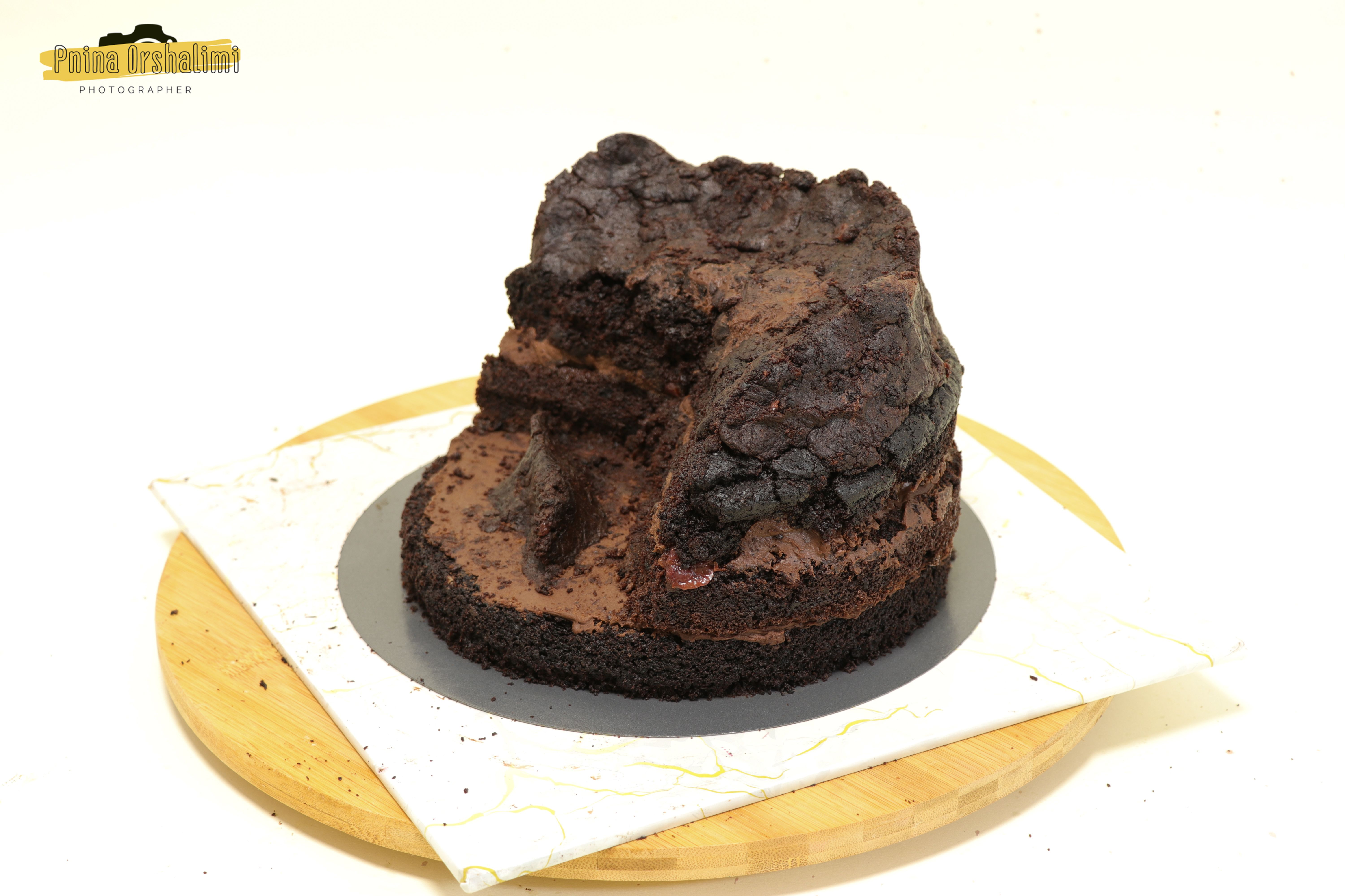 IMG_9255 לוגו.jpg