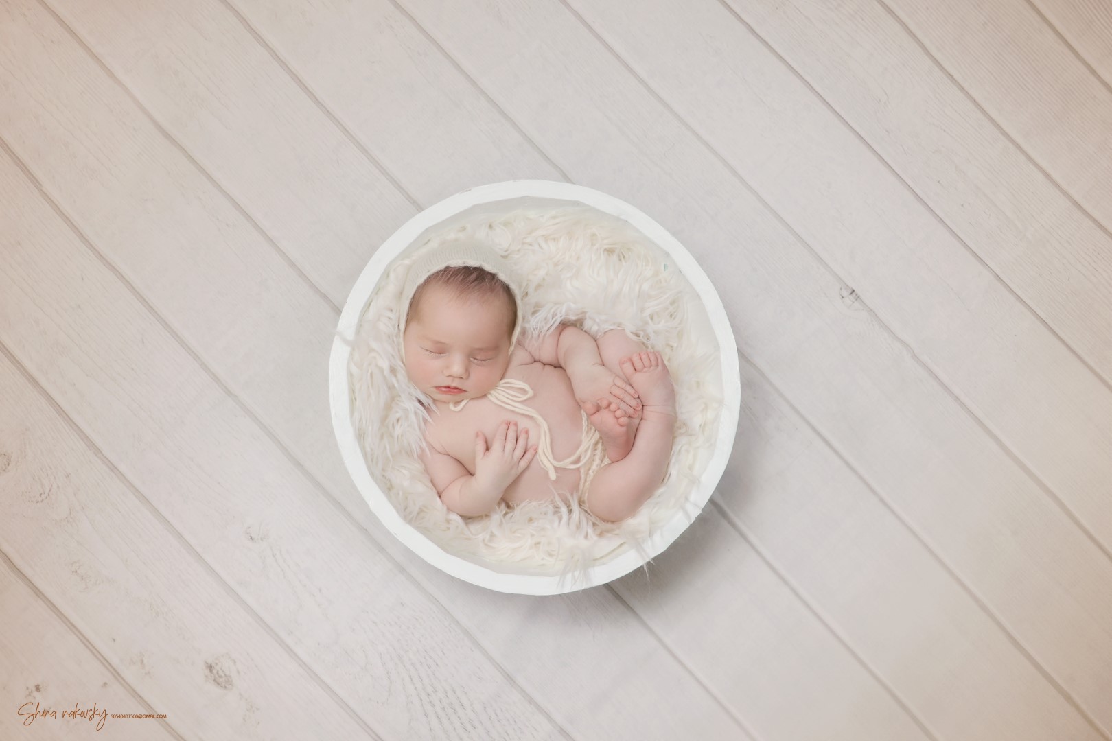 IMG_9275 copy (Large).jpg