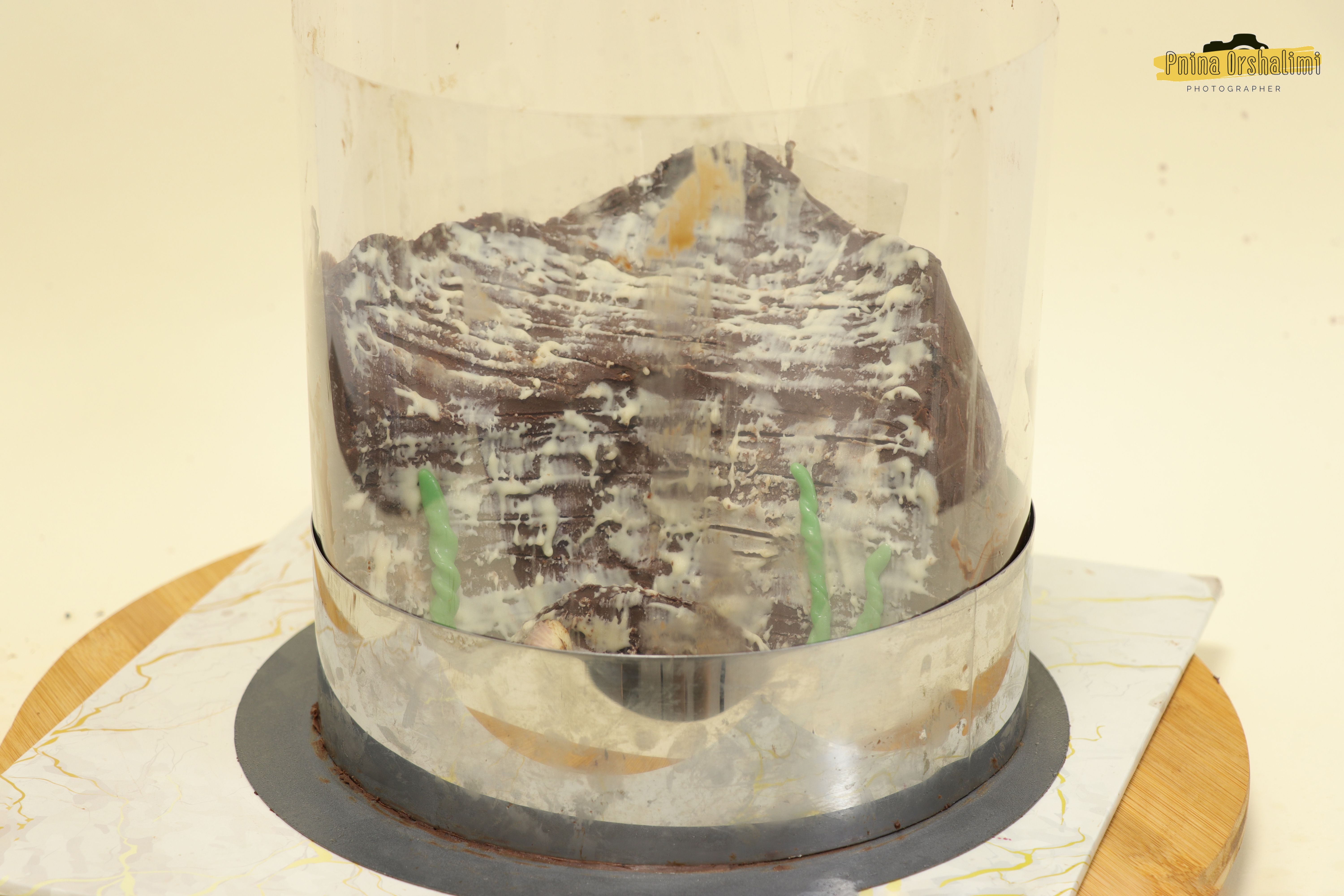 IMG_9307 לוגו.jpg