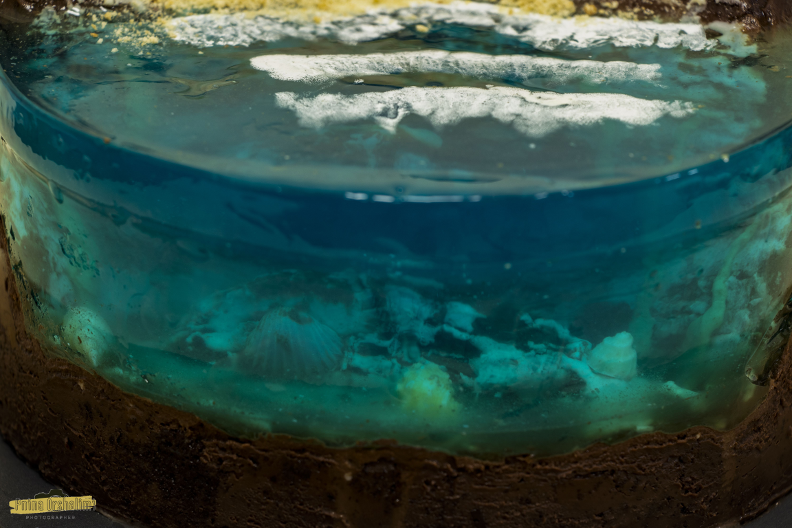 IMG_9324 לוגו copy (Medium).png