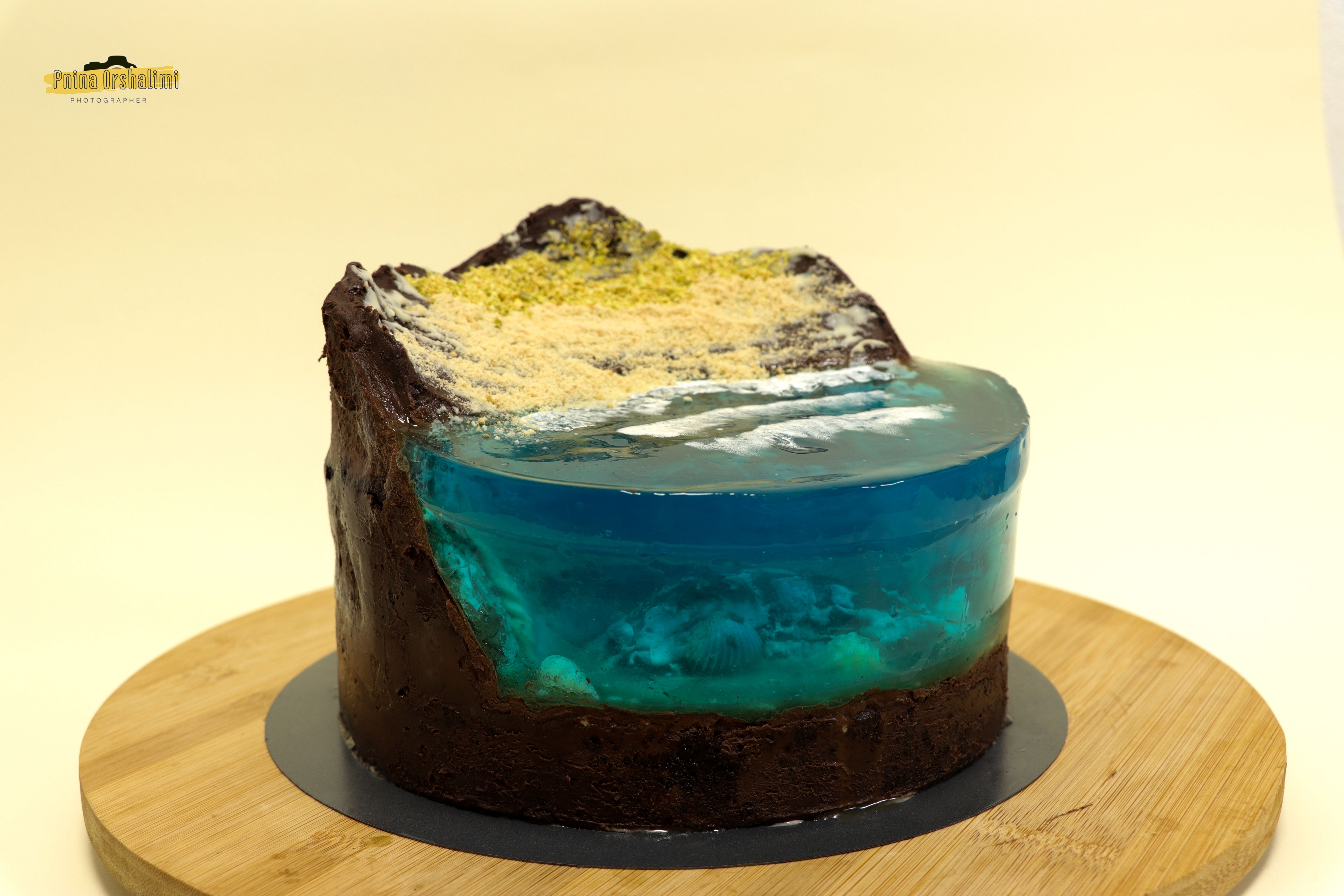 IMG_9335 לוגו.jpg