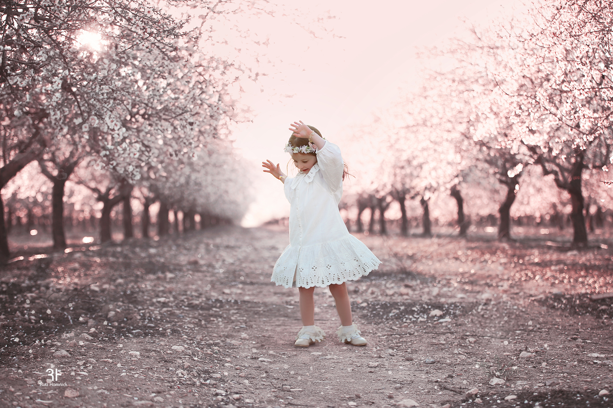 IMG_9345 copy 2 copy.jpg