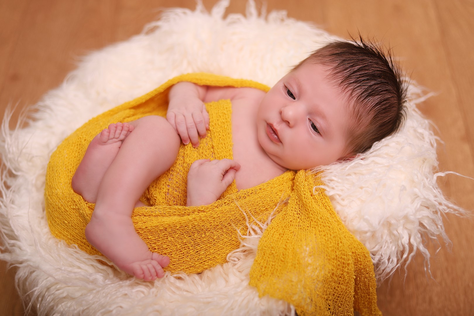 IMG_9356 (Large).jpg