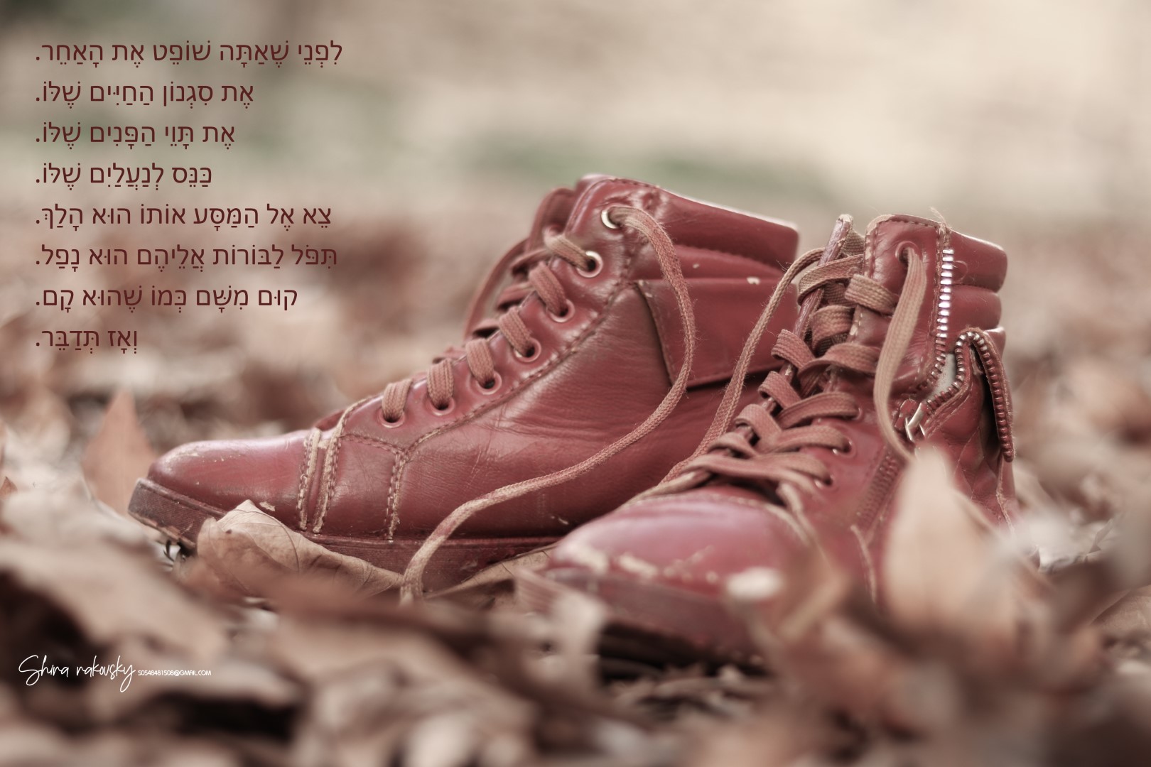 IMG_9366 copy (Large).jpg