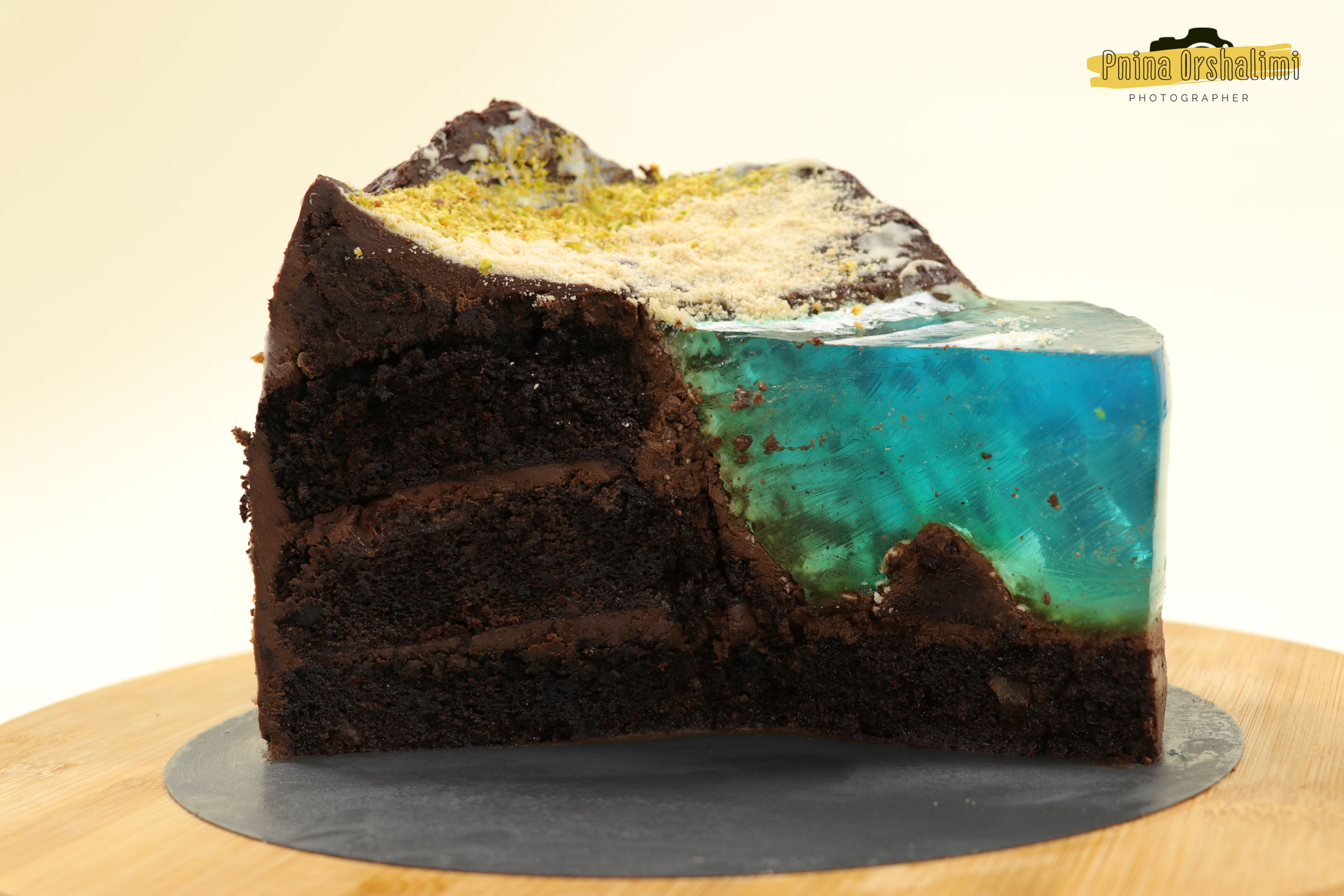 IMG_9377 לוגו.jpg