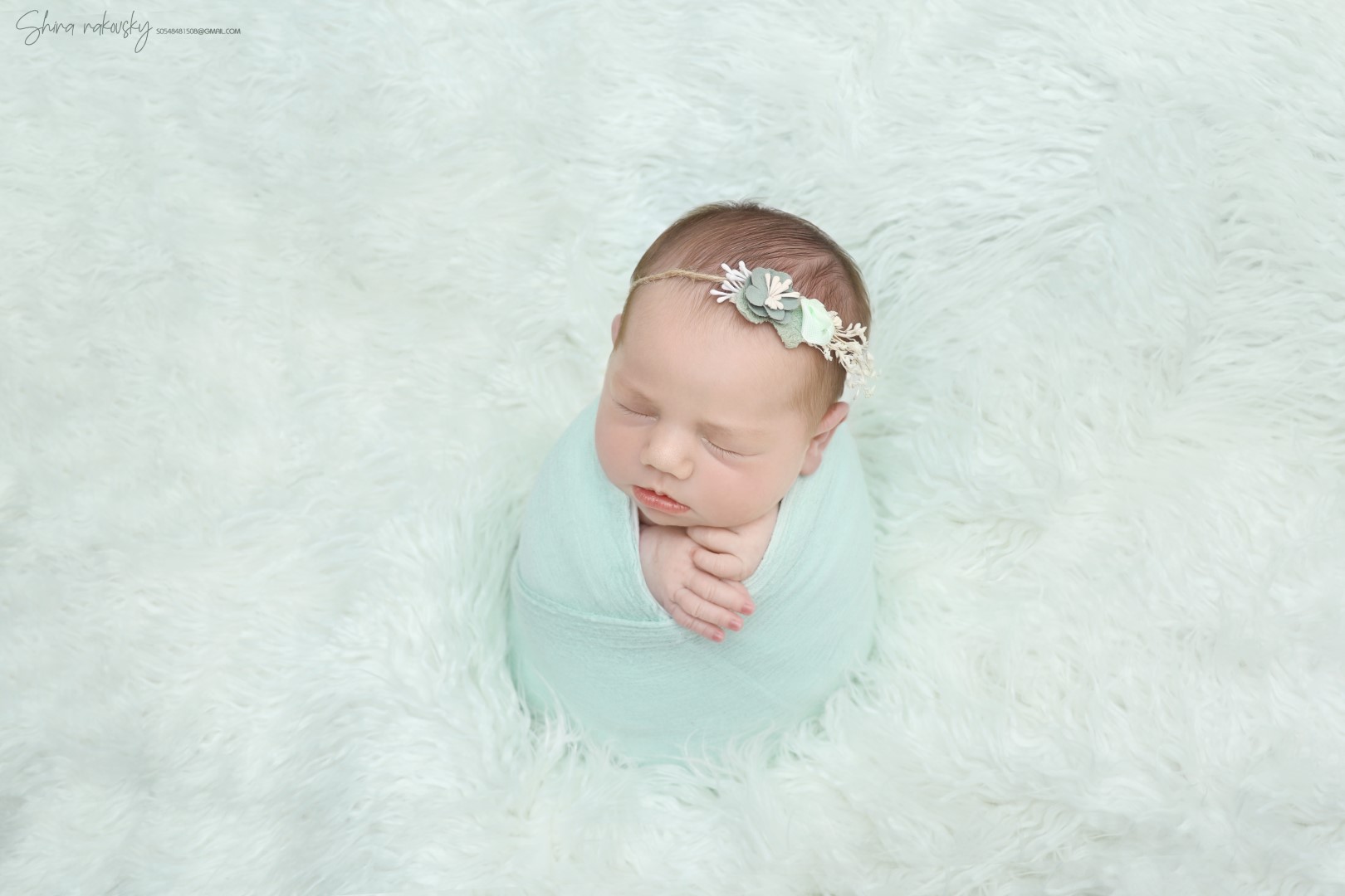 IMG_9386 copy (Large).jpg