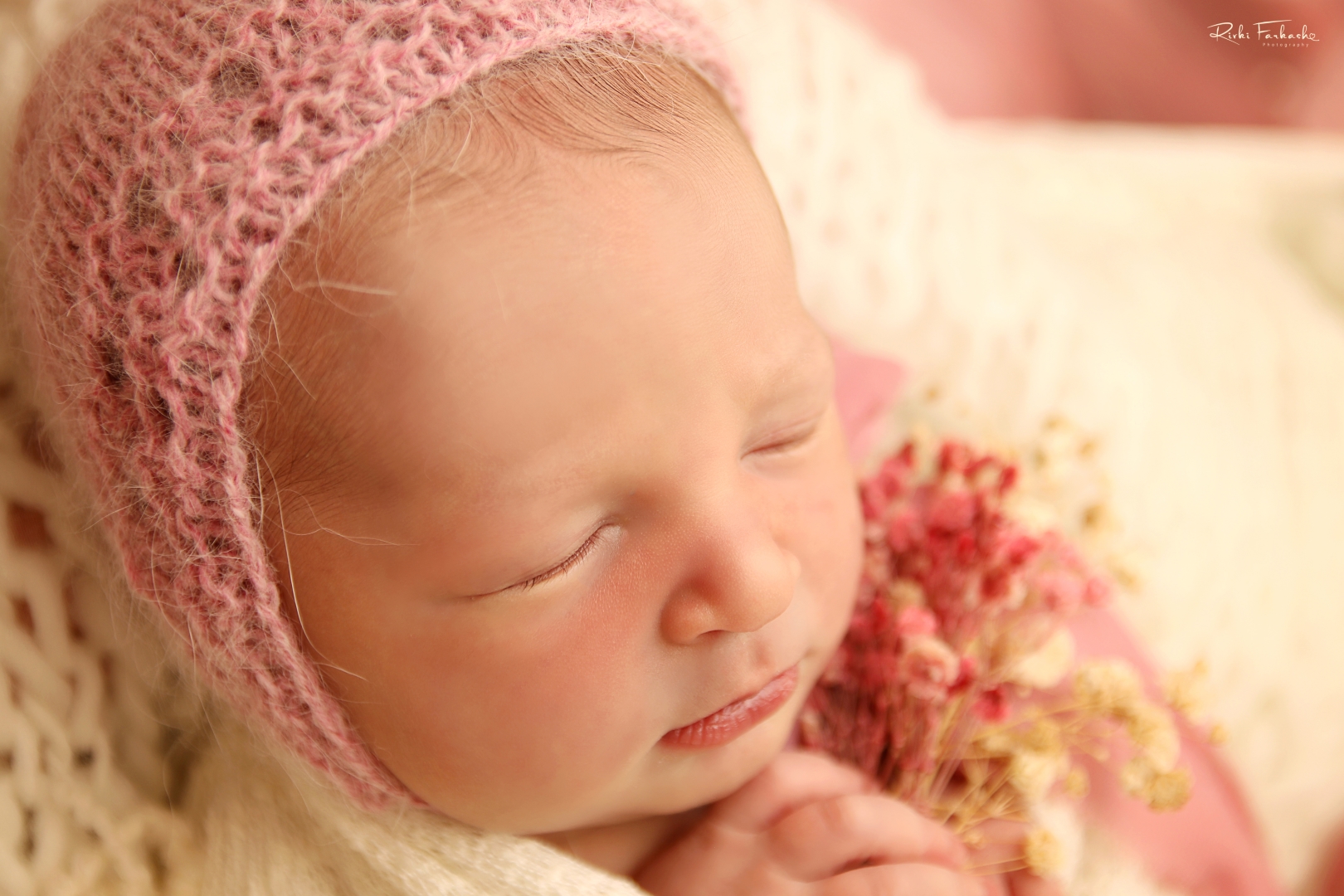 IMG_9517 (Large).jpg