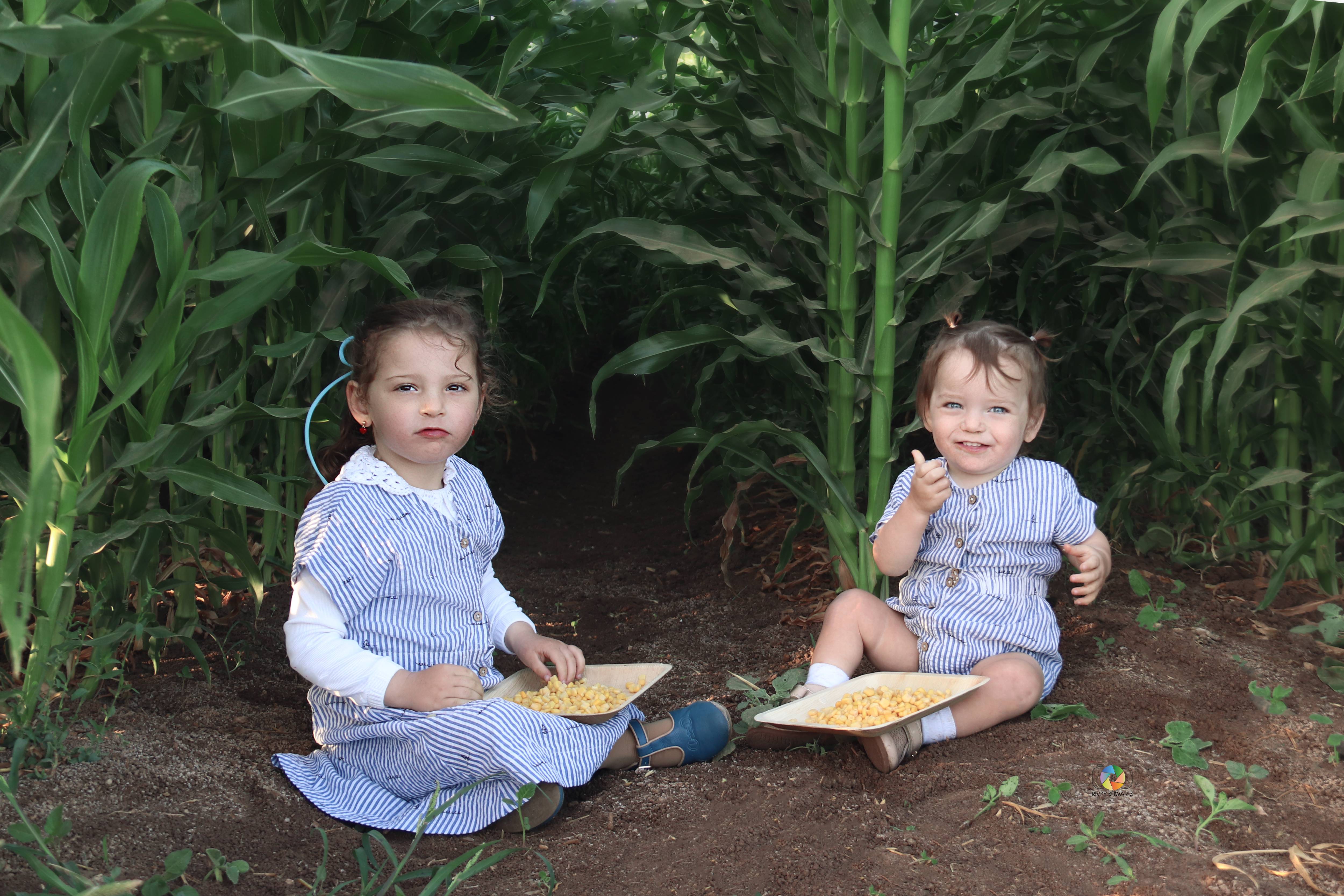 IMG_9585 copyמ (1).jpg