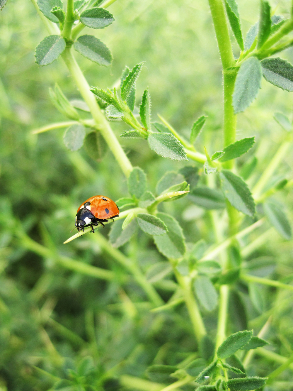 IMG_9665 מעובד מוקטן.jpg