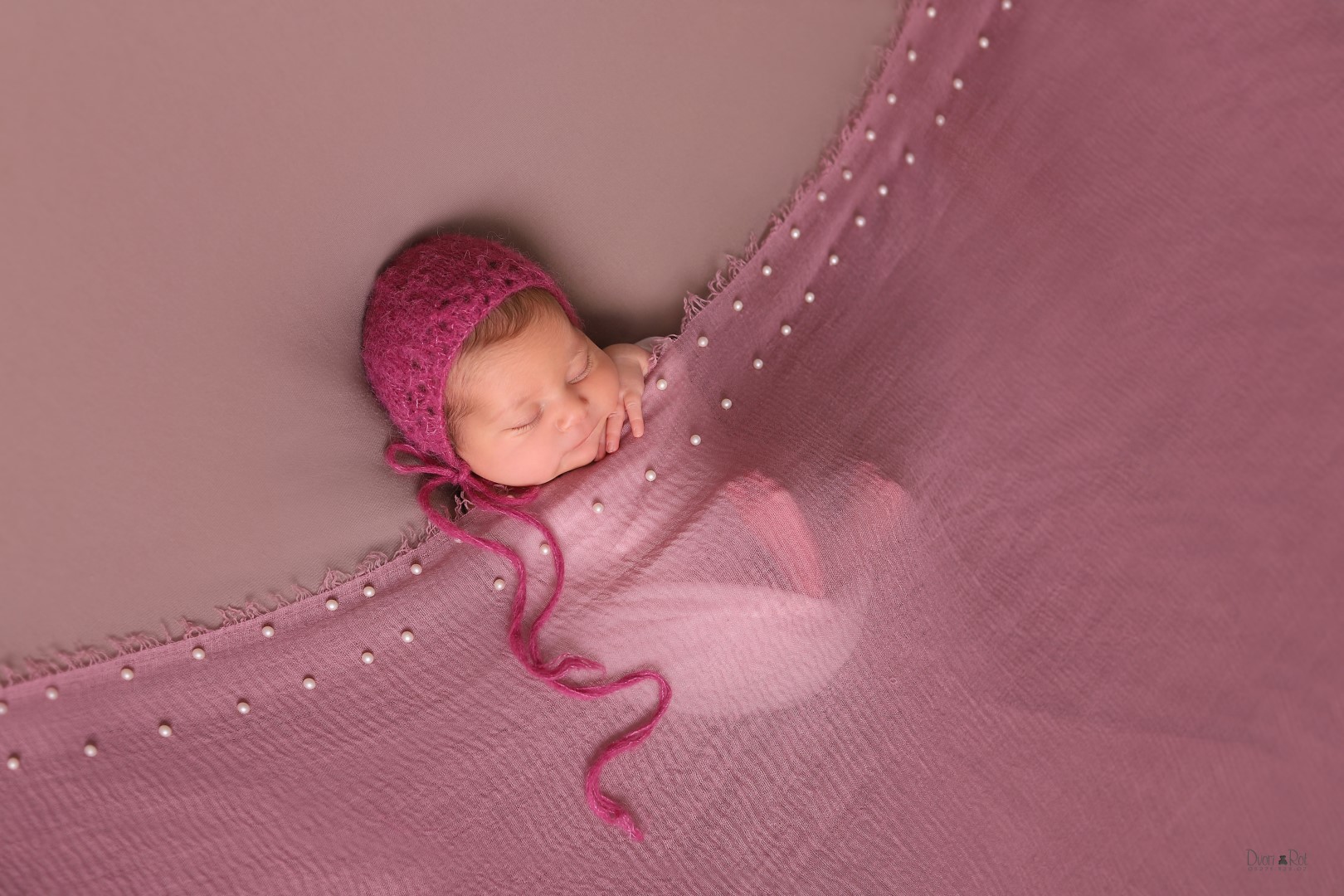 IMG_9774 (Large).jpg