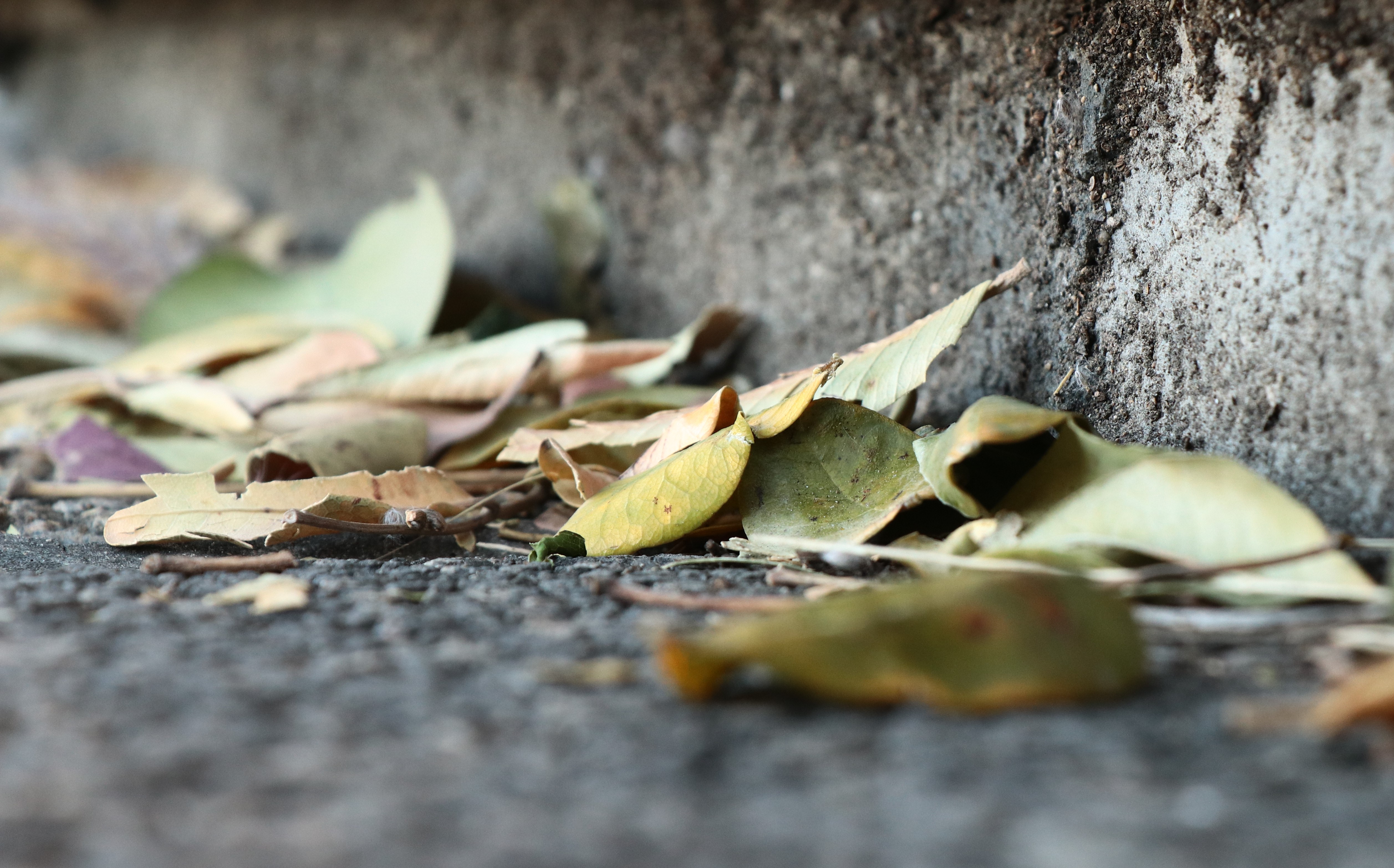 IMG_9839 (2017_06_16 10_09_38 UTC) (2).JPG